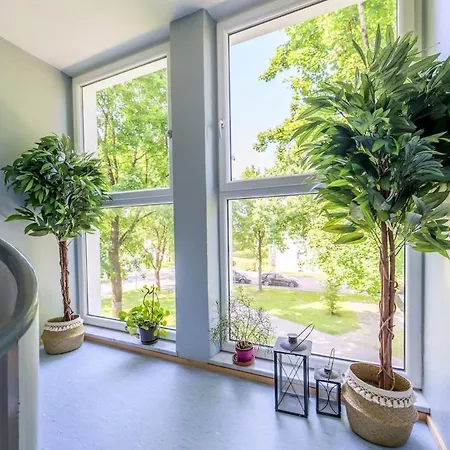 Og1 L 70m2 Grosse 2-zimmer Naehe Salzburg *
